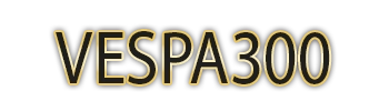 Logo VESPA300